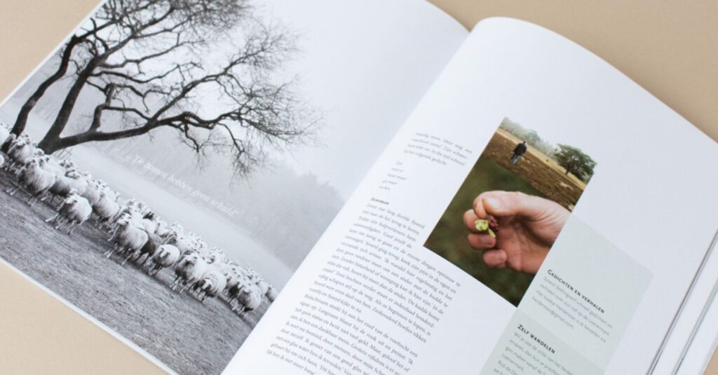 Essencio Brands_Branding magazines print gesign grafisch ontwerp (2)