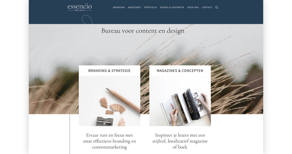 Essencio-Brands-Essencio.nl-twee-merken-eenheid-merkstrategie-merkhiërarchie-submerk-positionering2